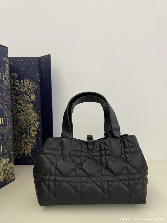 Tony Luxuries Small Toujours Bag-23*15*15CM diro 0810